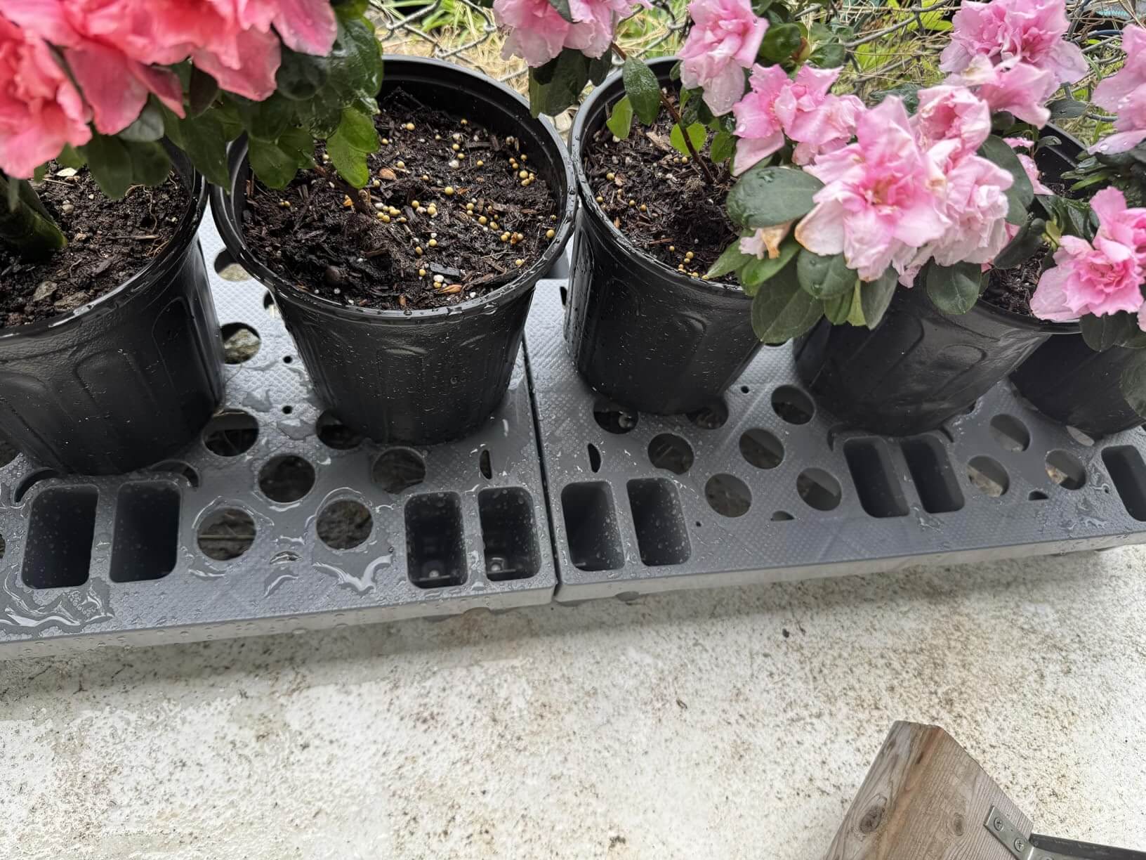Backyard patio drainage floor